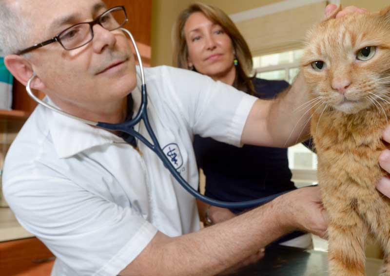 Carousel Slide 9: Onsite pharmacy